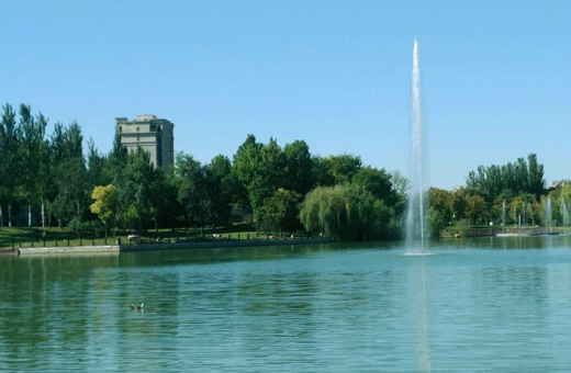 固安为民服务网